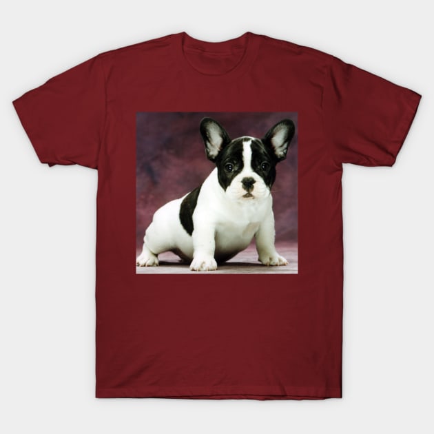 FB brindle pied sitting T-Shirt by Wanderingangel